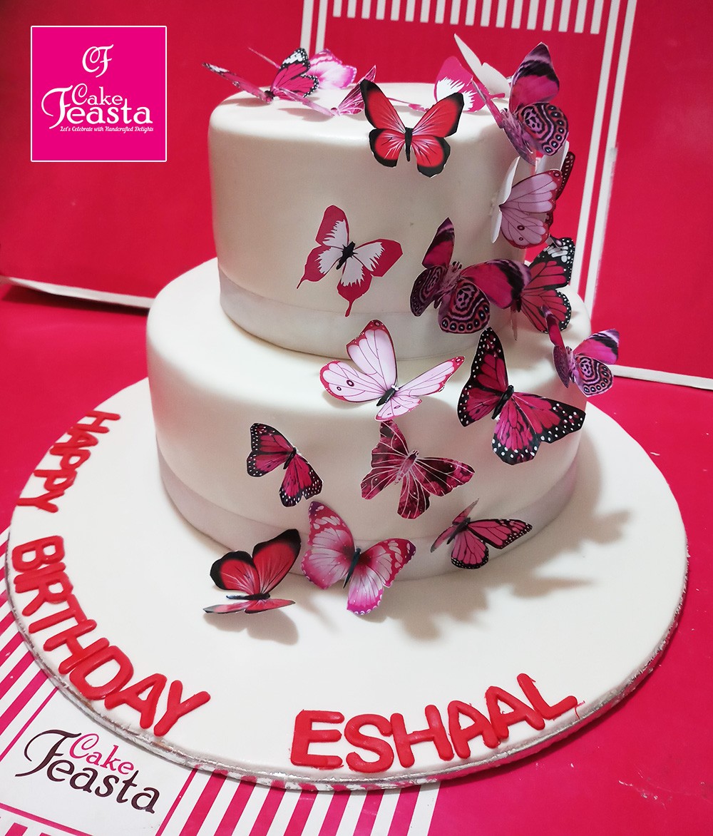 1575356645-2-tier-butterfly-theme-birthday-cake.jpg